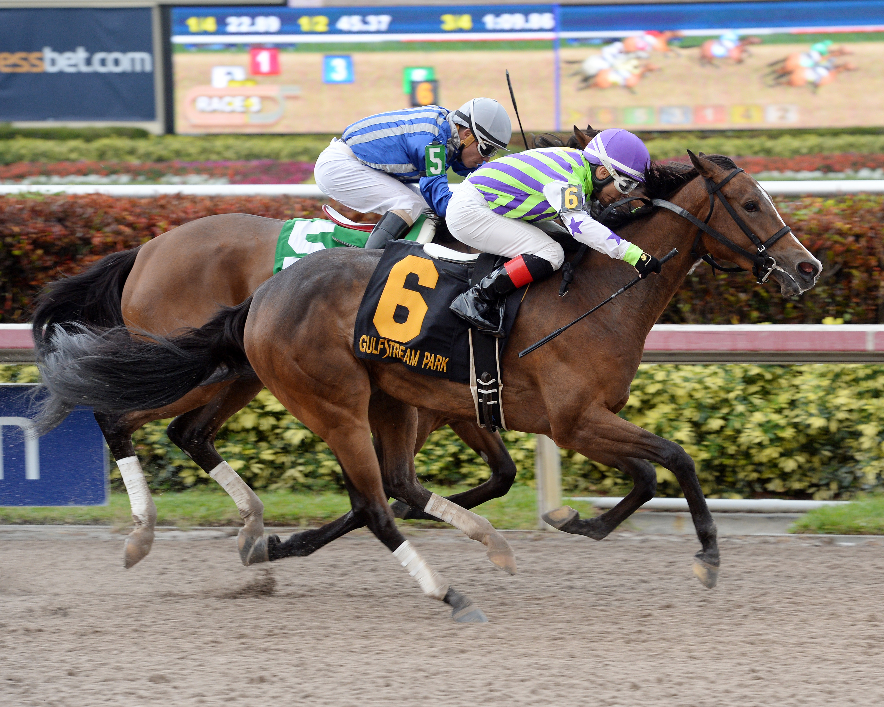 Miss Wilby wins the Queen Mother Stakes