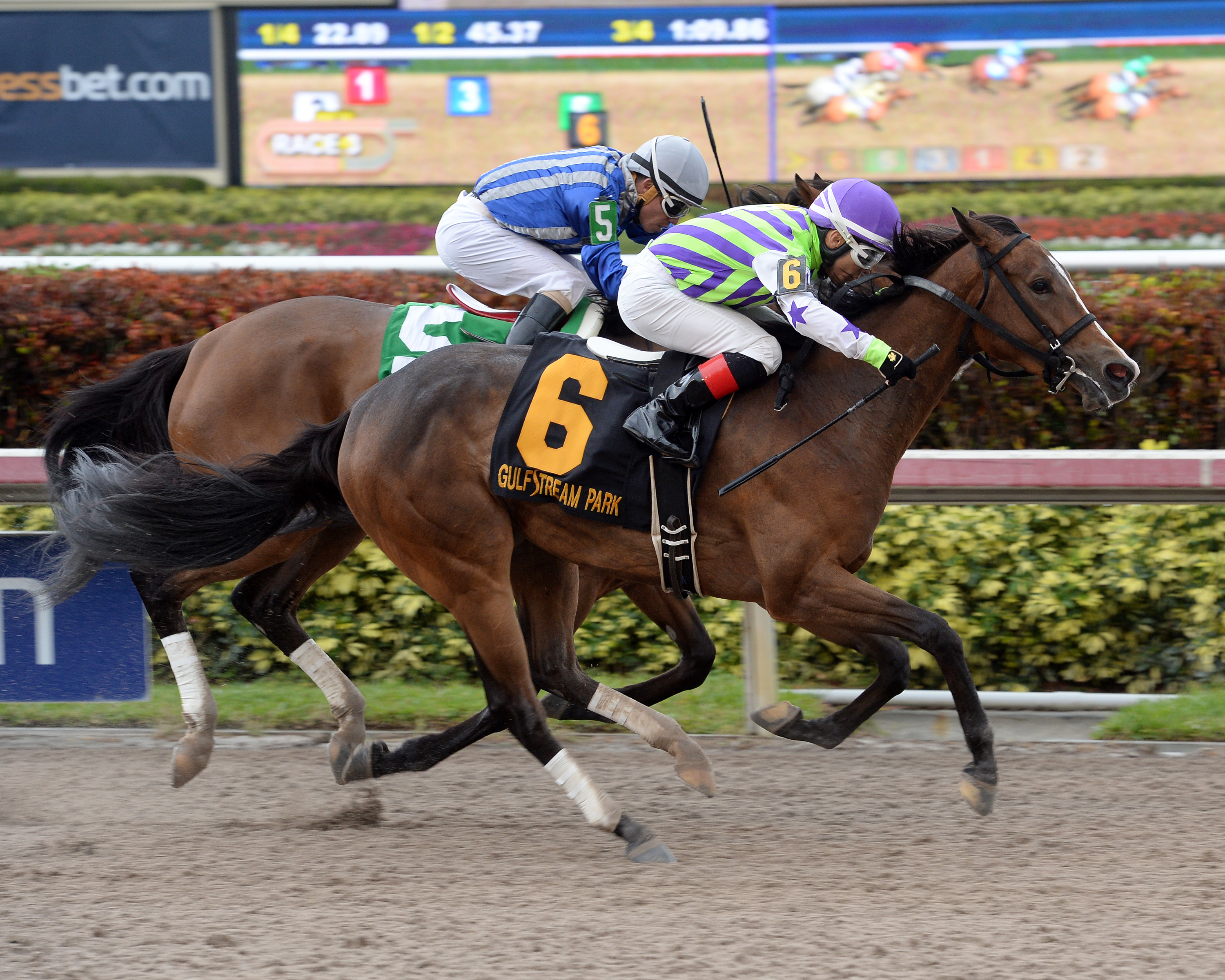 Miss Wilby wins the 2016 Queen Mother Stakes