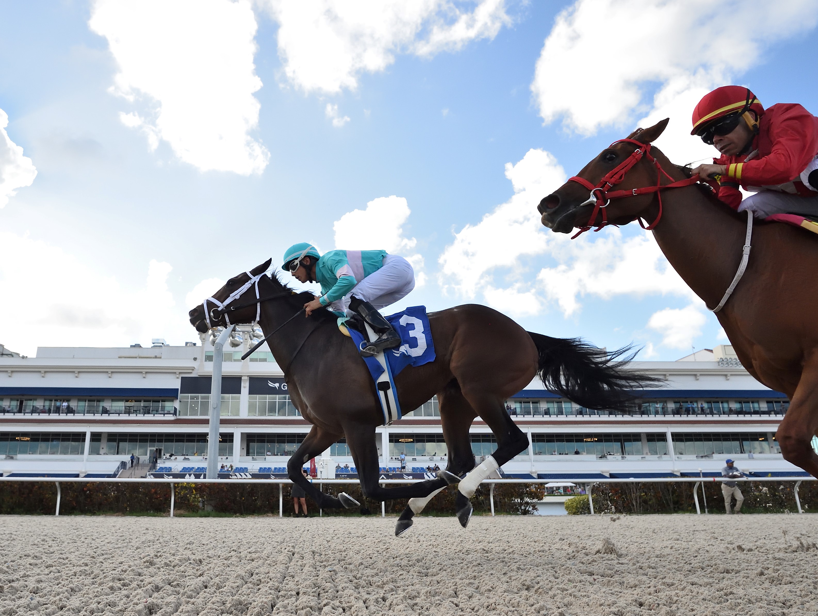 Miss You Ella wins the Cellars Shiraz at Gulfstream