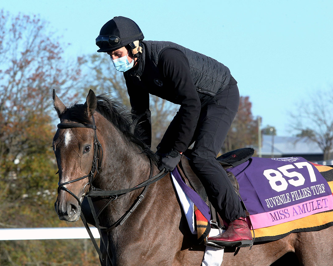 Miss Amulet trains at Keeneland for the 2020 Breeders' Cup