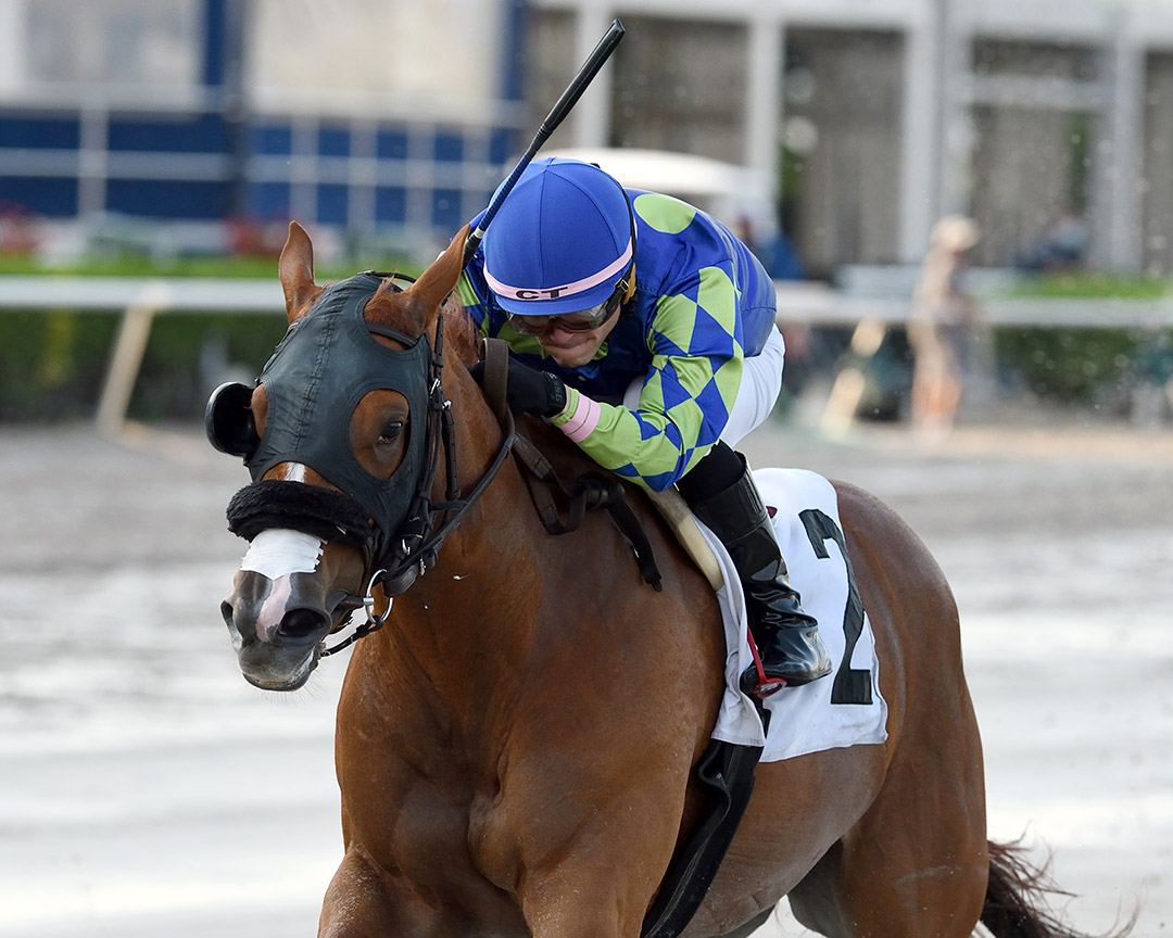 Miss Auramet wins an April 18 allowance at Gulfstream Park