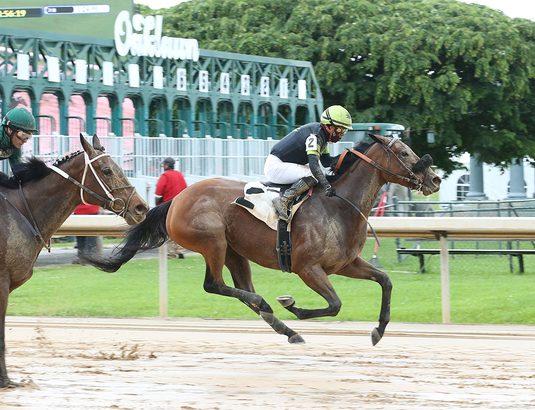Miss Bigly wins an April 29 allowance at Oaklawn
