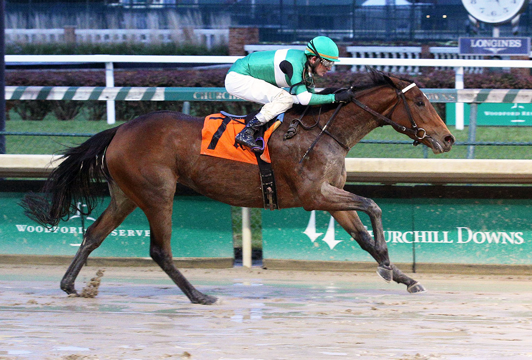 Miss Bigly wins a November 2019 allowance at Churchill Downs