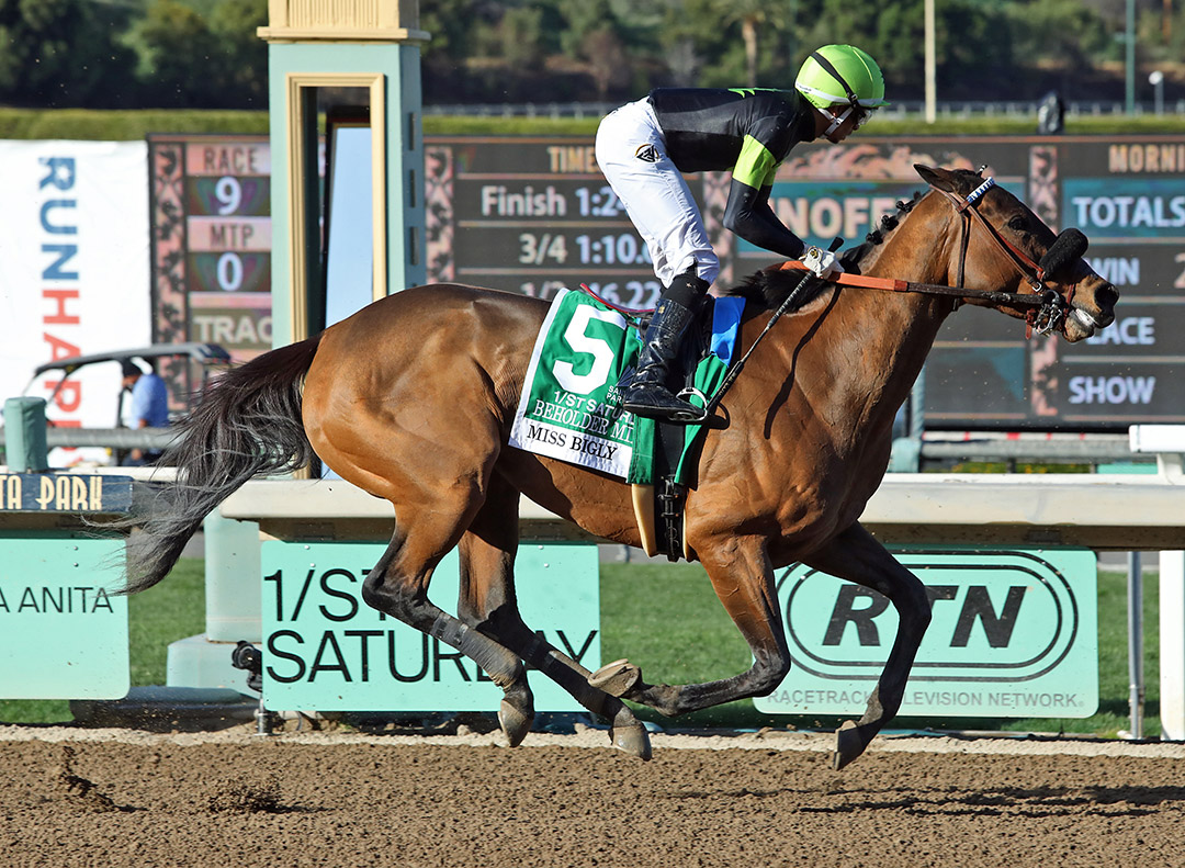 Miss Bigly finishes second in the 2022 Beholder Mile at Santa Anita Park