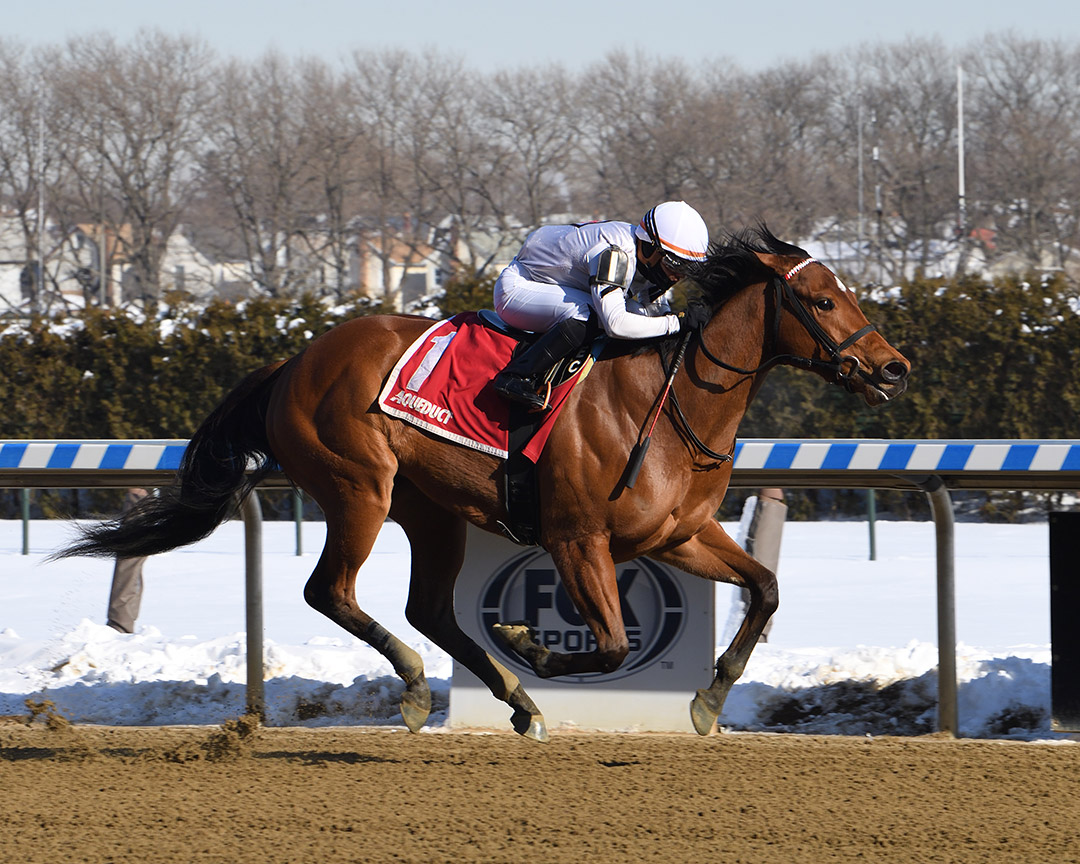 Miss Brazil wins the 2021 Ruthless Stakes at Aqueduct Racetrack