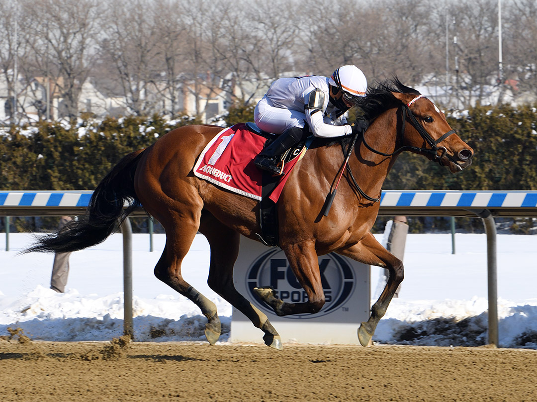 Miss Brazil wins the 2021 Ruthless Stakes at Aqueduct Racetrack