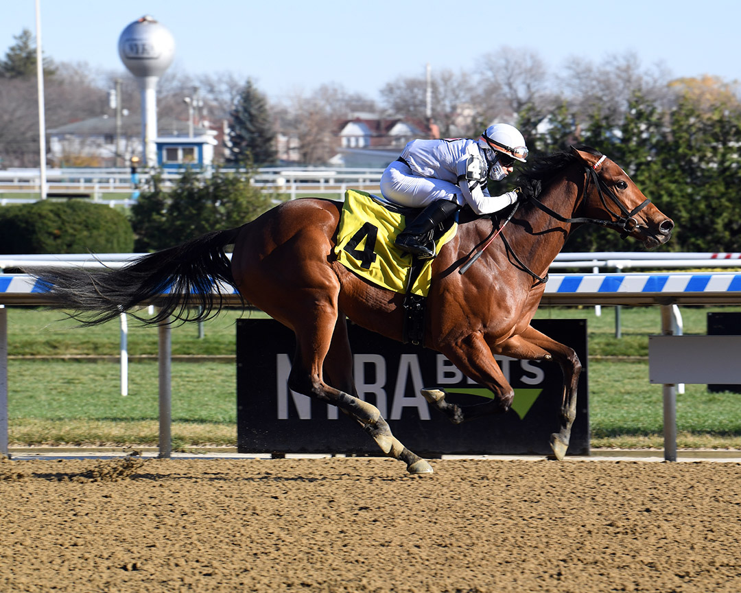 Miss Brazil wins a Nov. 29 maiden race at Aqueduct