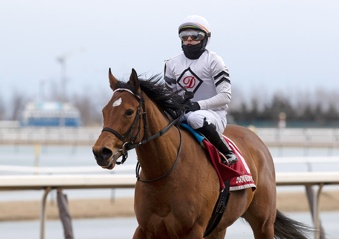 Miss Brazil at the 2021 Busher Stakes at Aqueduct Racetrack