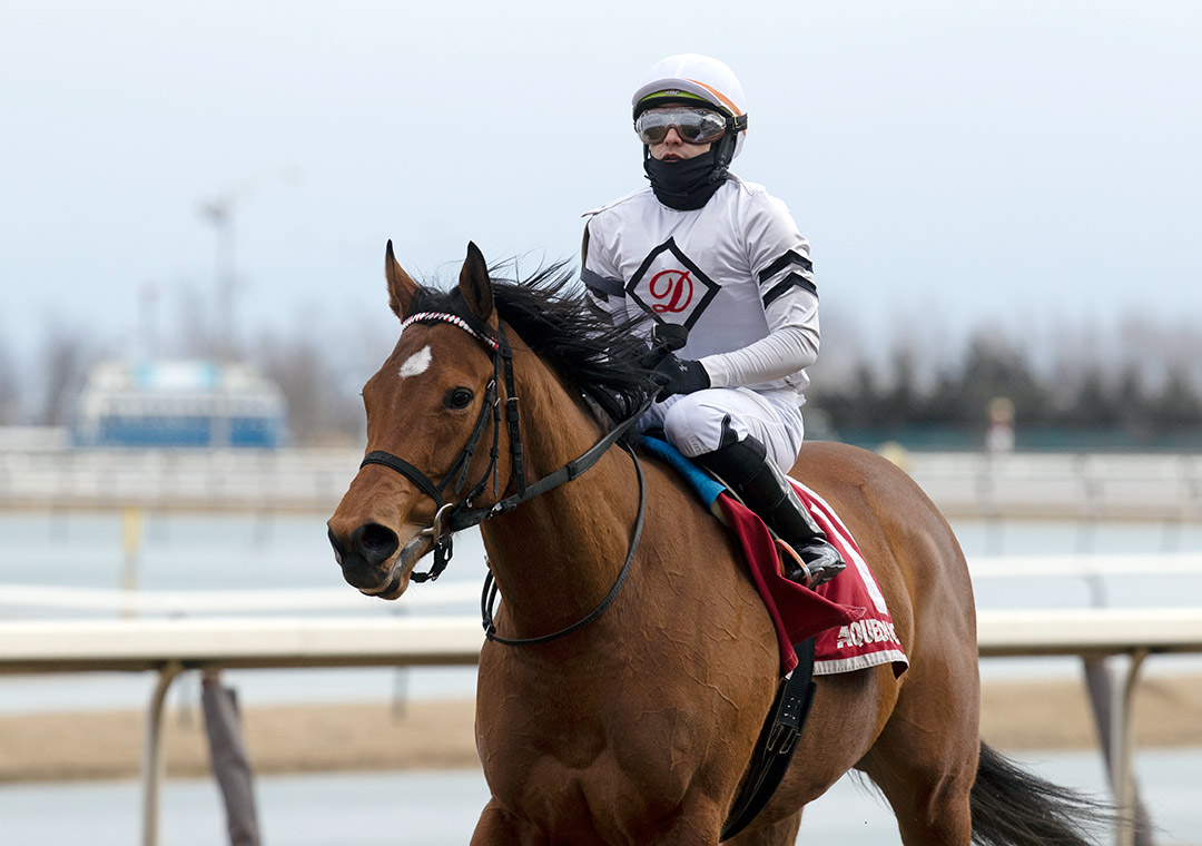 Miss Brazil at the 2021 Busher Stakes at Aqueduct Racetrack
