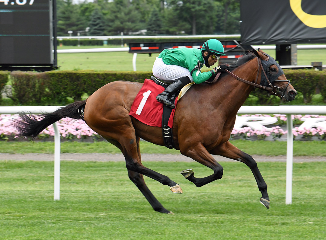 Miss Delicious wins a June 12 maiden at Belmont Park