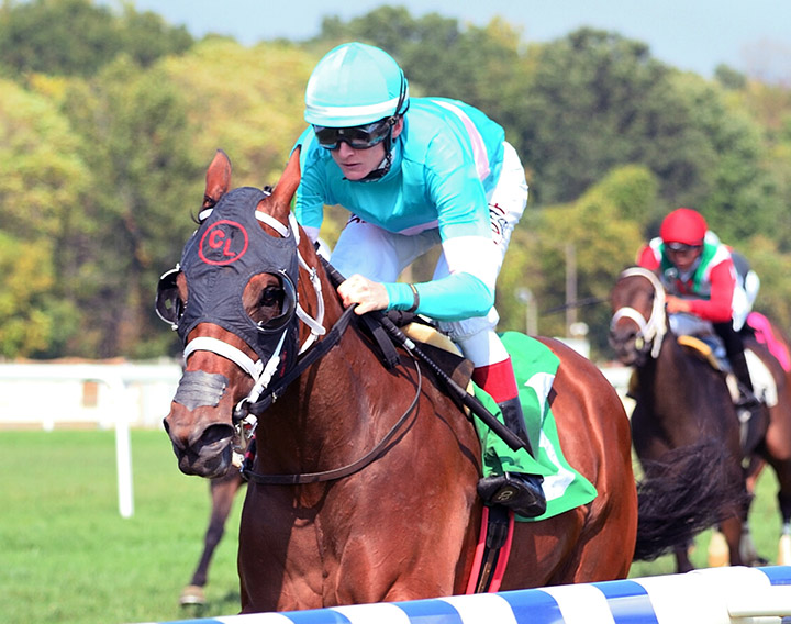 Miss J McKay wins the 2019 Anne Arundel County Stakes at Laurel Park