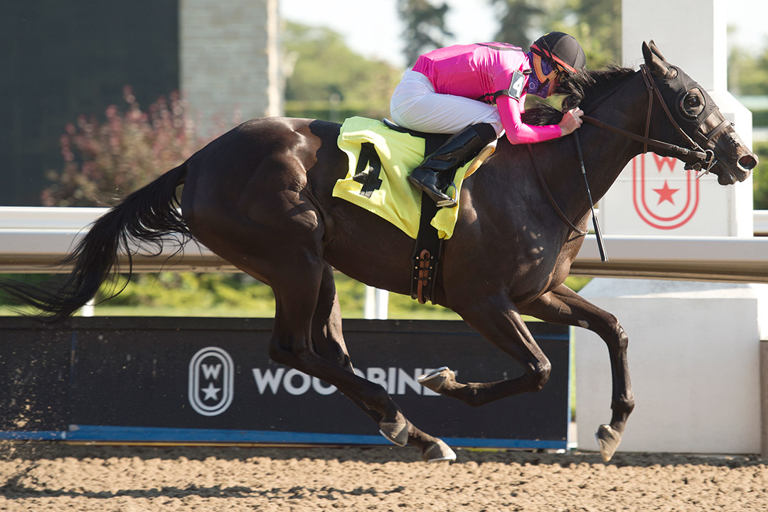 Miss Speedy wins an Aug. 15 optional claiming race at Woodbine