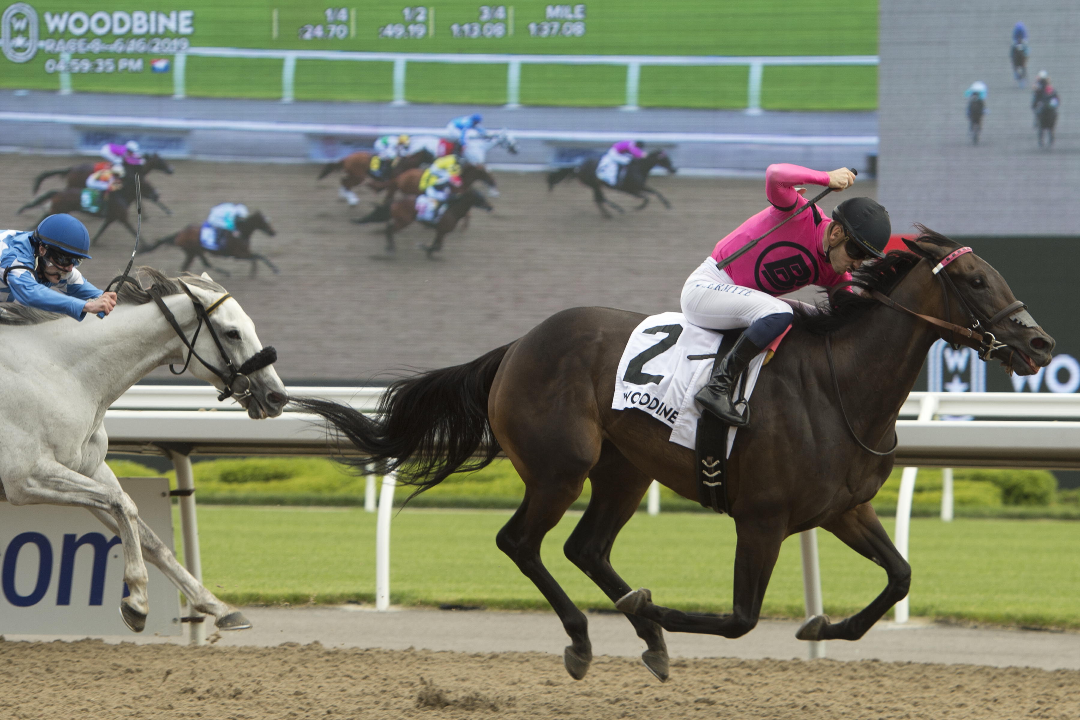 Miss Mo Mentum wins the 2019 Trillium Stakes