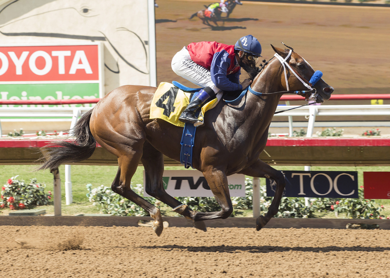Miss Sunset wins the Fleet Treat Stakes at Del Mar 7.30.17_BA
