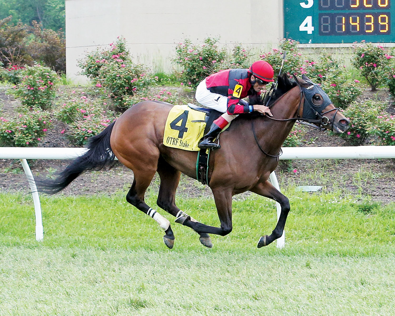 Missap wins the 2018 Green Carpet Stakes