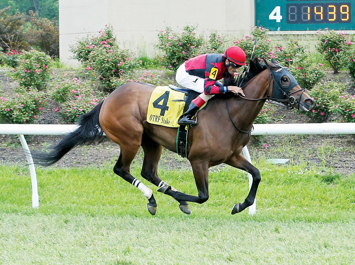 Missap wins the 2018 Green Carpet Stakes