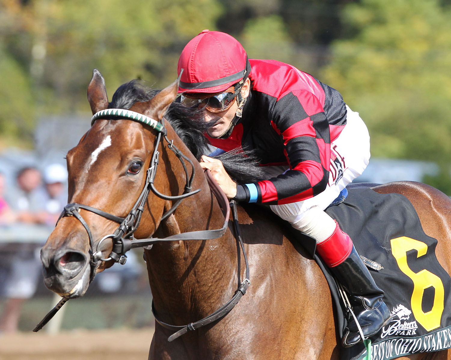 Missap wins the 2017 John Galbreath Memorial Stakes
