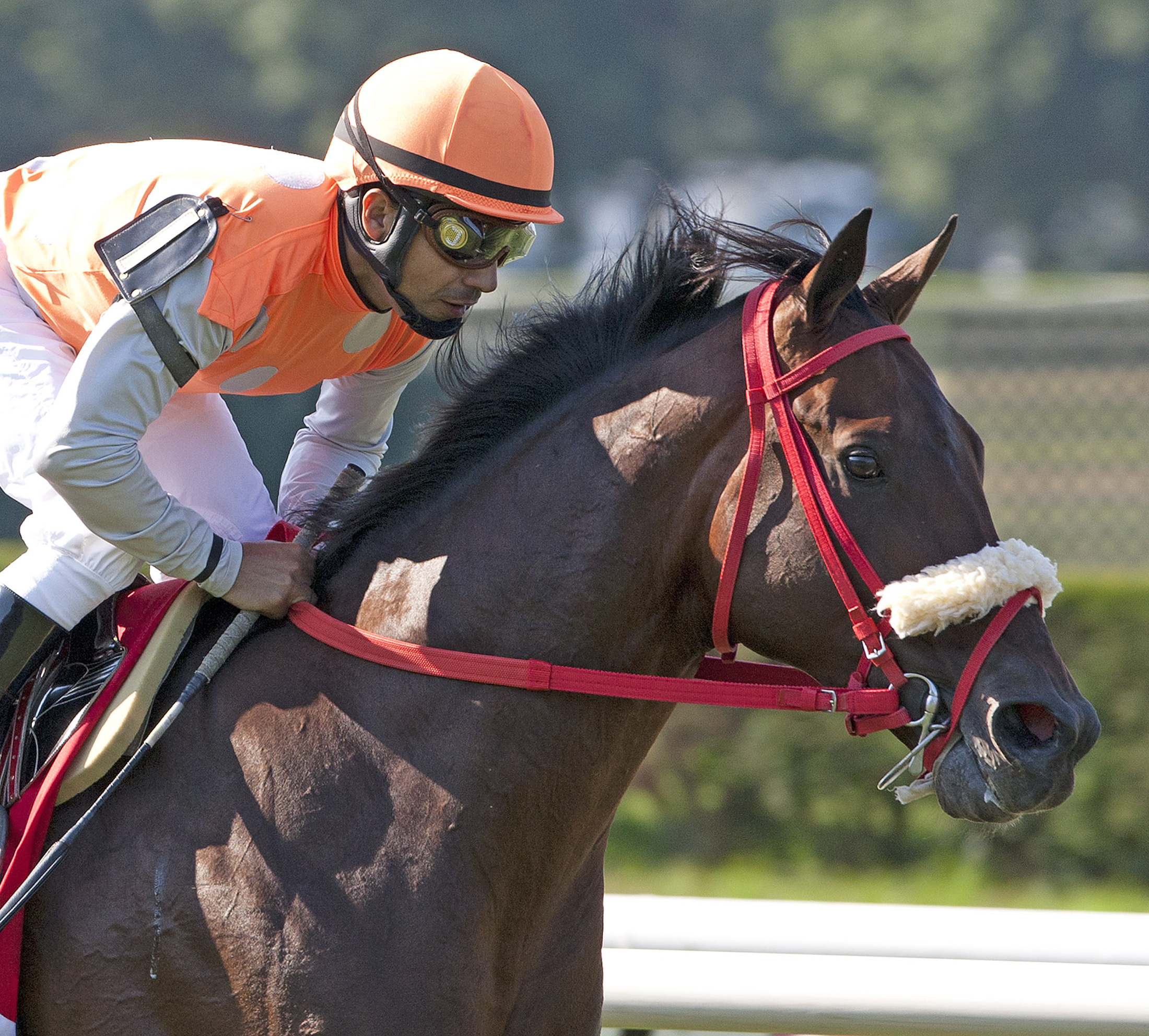 Mission Approved wins the 2011 Man O'War