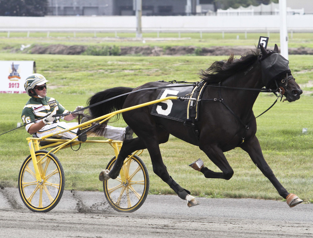 Mission Brief_Hambo Day 2014