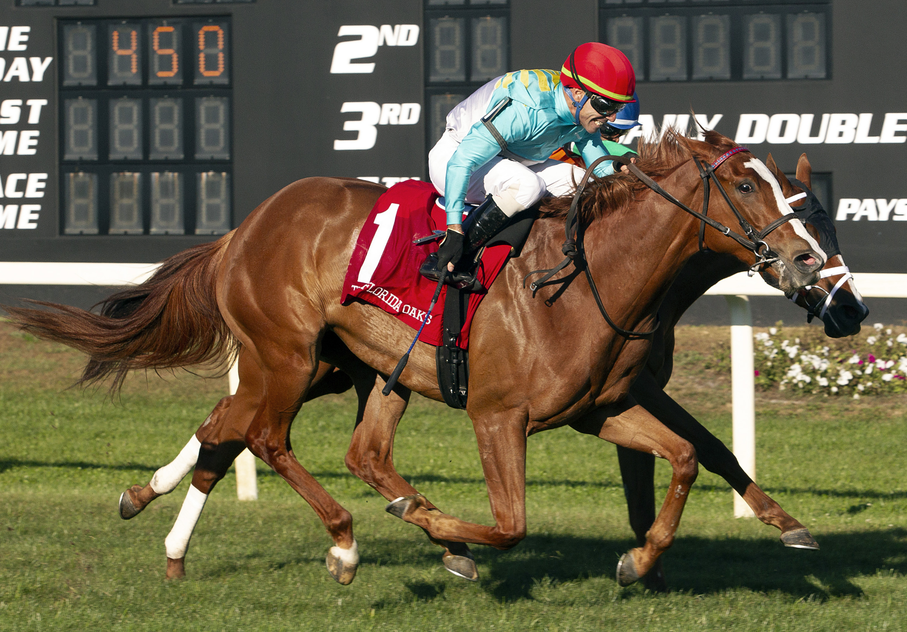 Mission of Joy/Florida Oaks