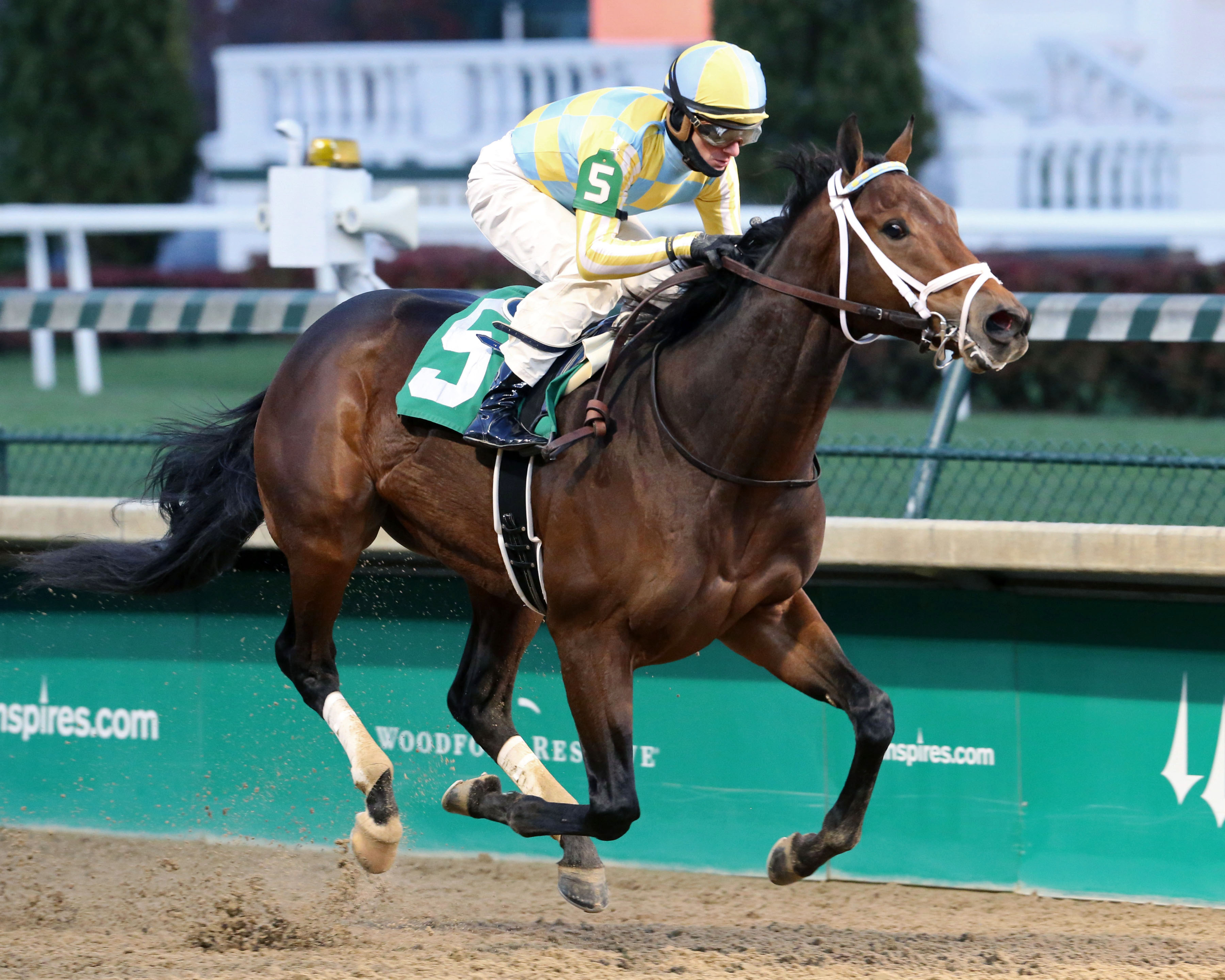Mississippi wins a Nov. 19 maiden race