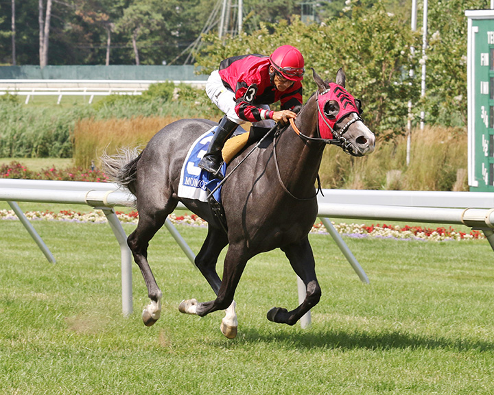 Missmizz wins the 2019 Blue Sparkler Stakes at Monmouth Park