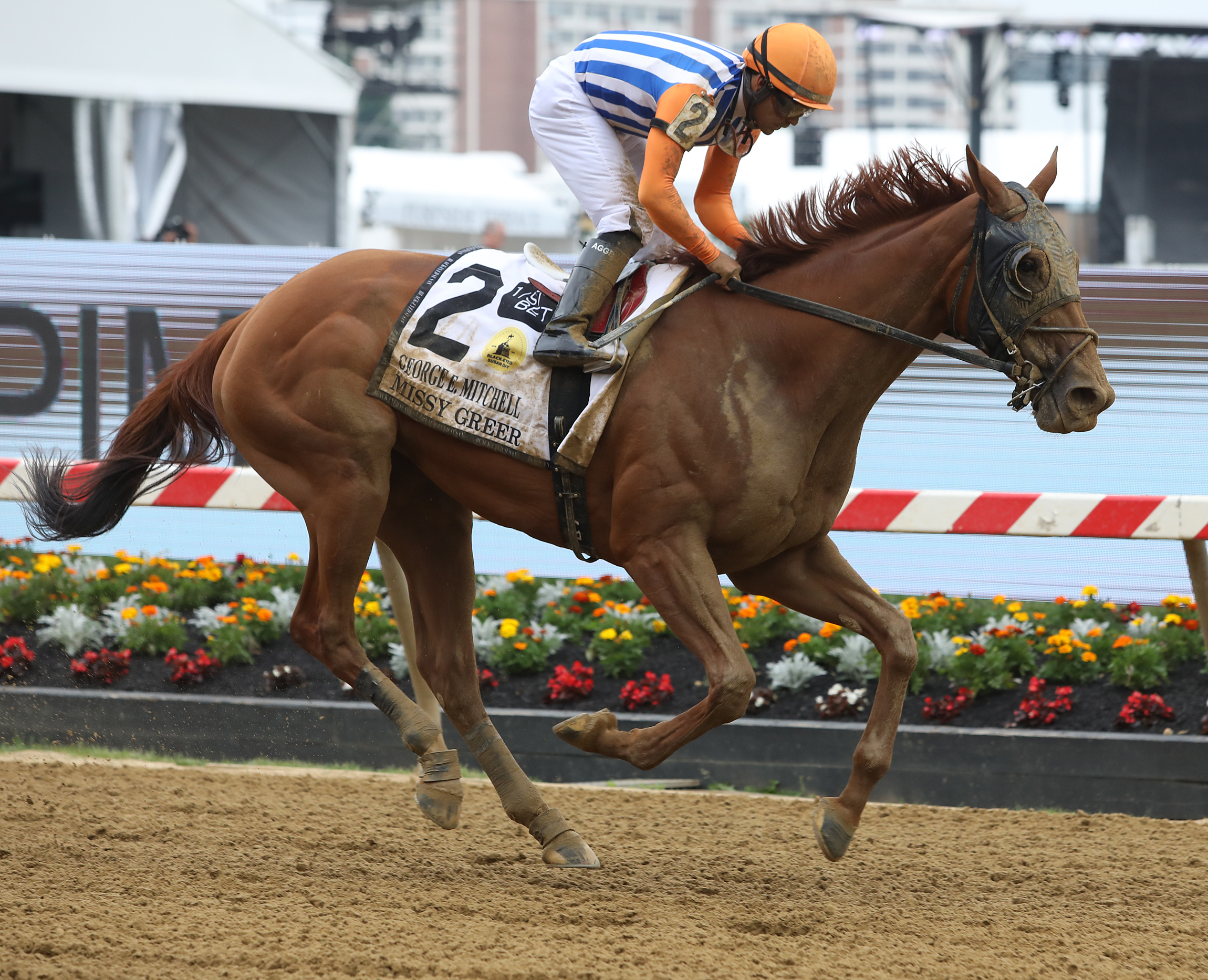 Missy Greer at Pimlico May 20 2022
