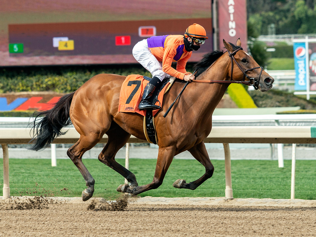 Missy P. wins a March 12 maiden race at Santa Anita