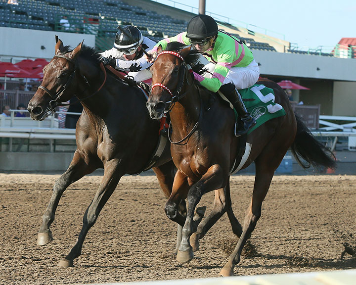 Mister Banjoman (right) wins the 2018 Shakopee Juvenile Stakes
