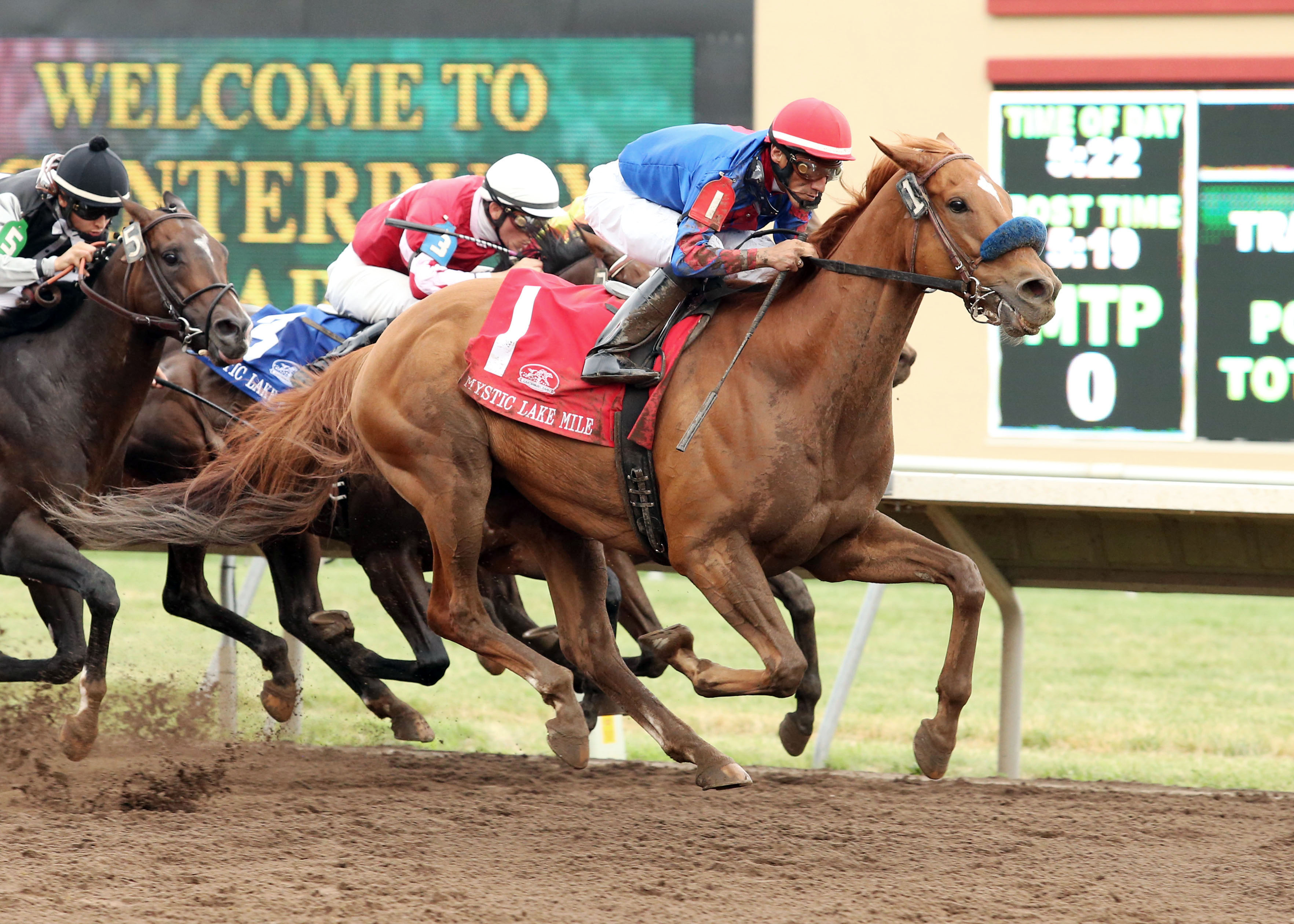 Mister Marti Gras wins the 2013 Mystic Lake Mile
