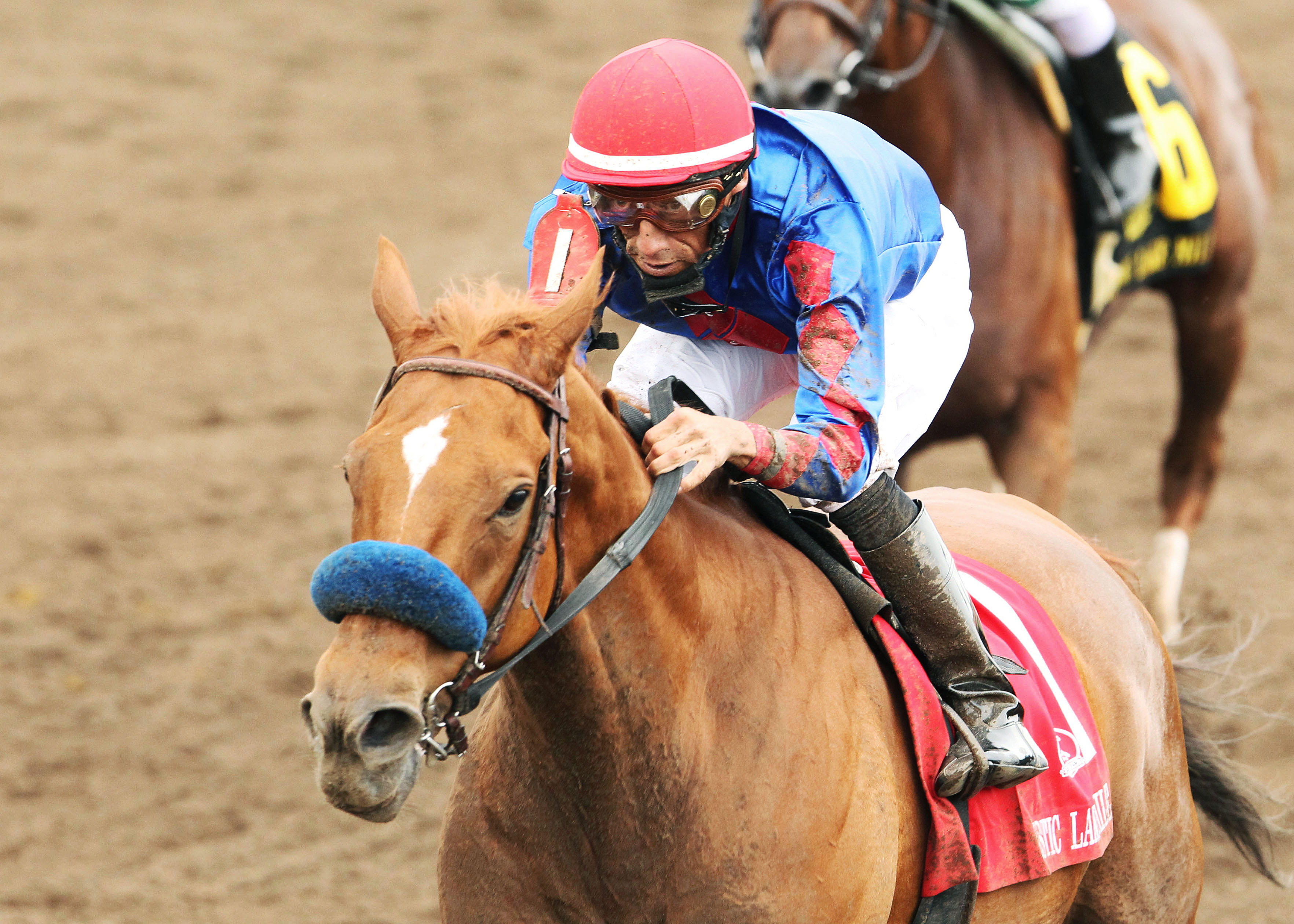 Mister Marti Gras wins the 2013 Mystic Lake Mile