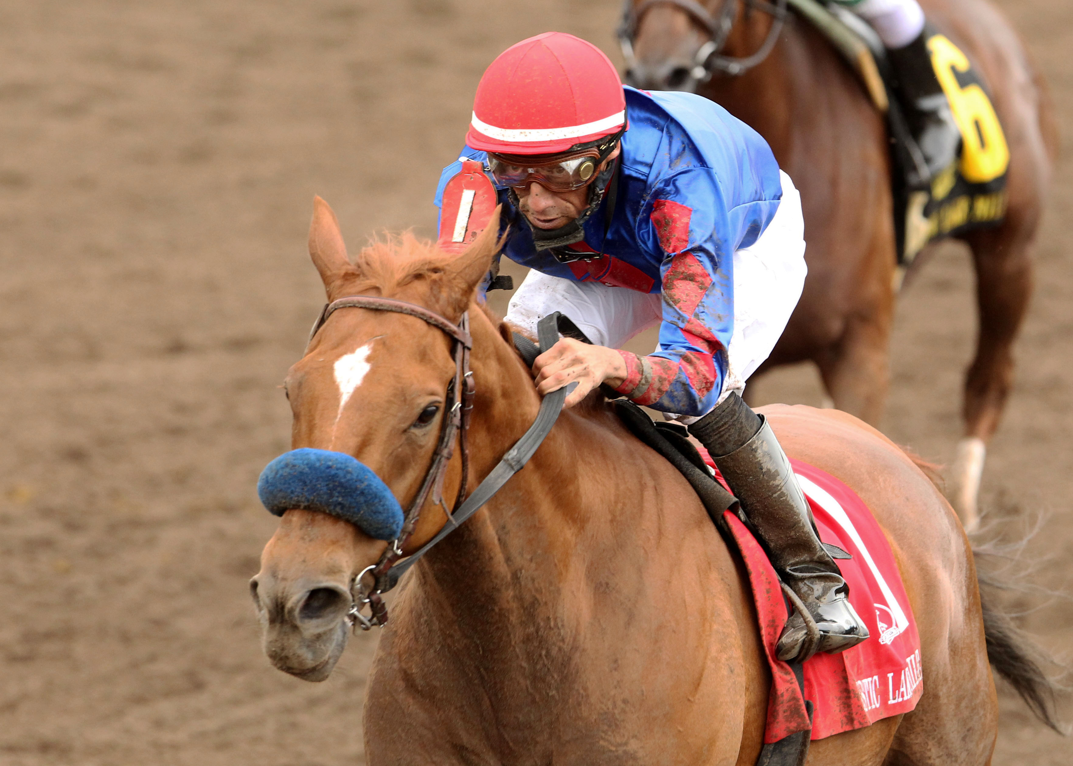 Mister Marti Gras wins the 2013 Mystic Lake Mile