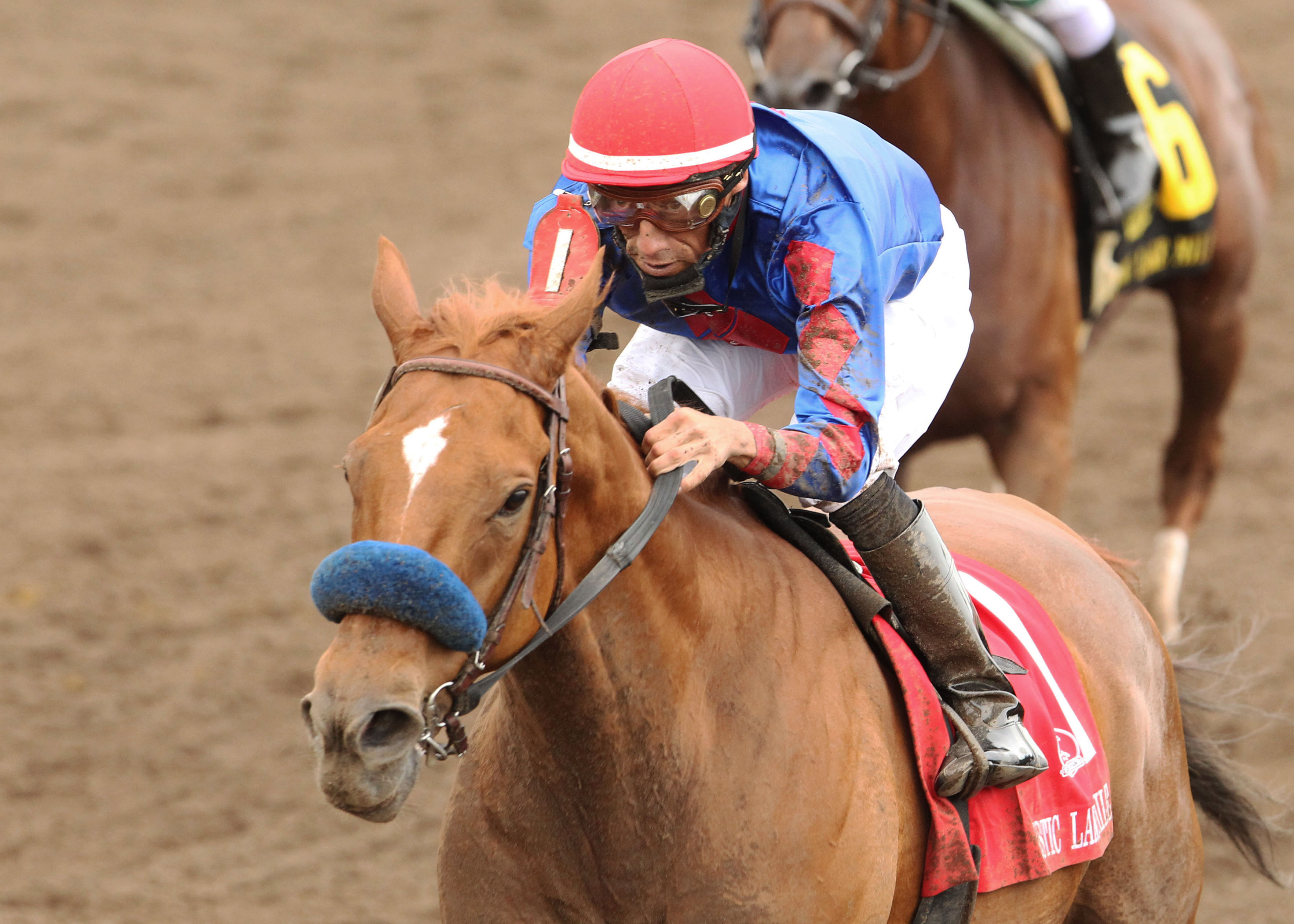 Mister Marti Gras wins the 2013 Mystic Lake Mile