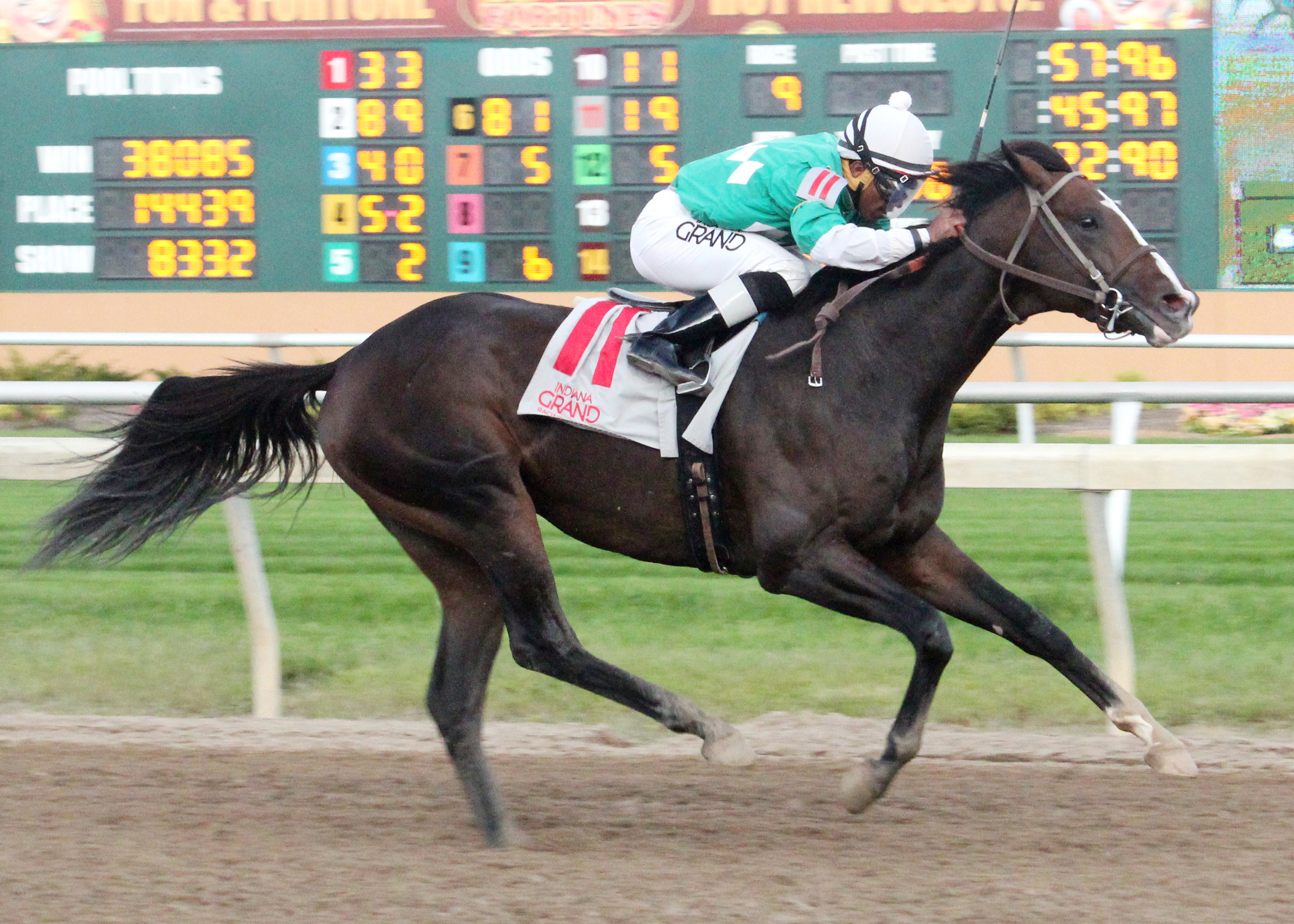 Mister Pollard wins the Brickyard Stakes