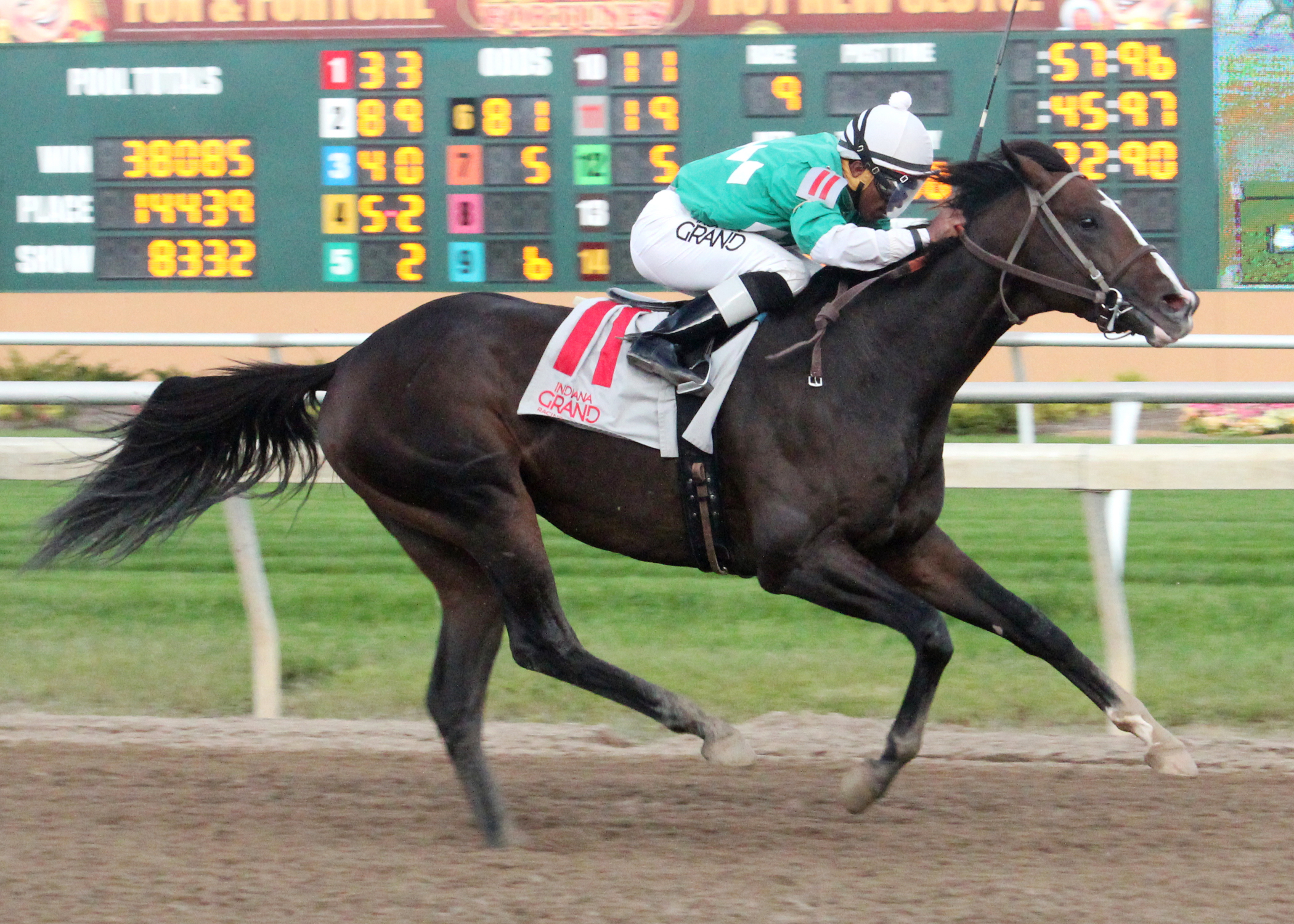 Mister Pollard wins the 2015 Brickyard Stakes
