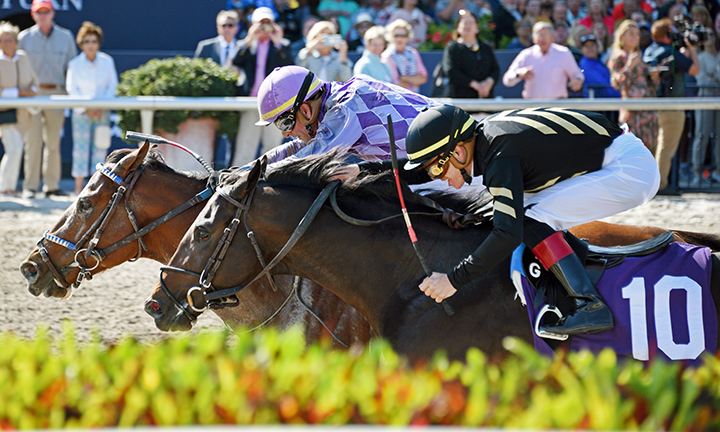 Corey Lanerie guides Mister Candy Ride to victory in a Feb. 29 maiden race at Gulfstream