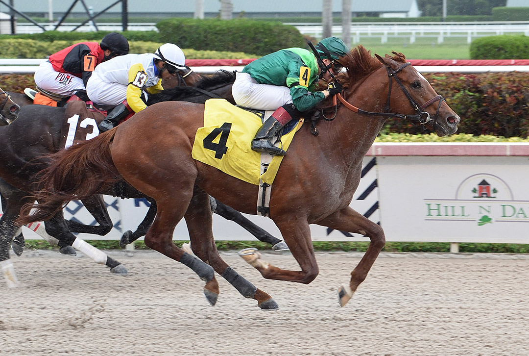 Mister Winston wins an April 2020 maiden race at Gulfstream Park