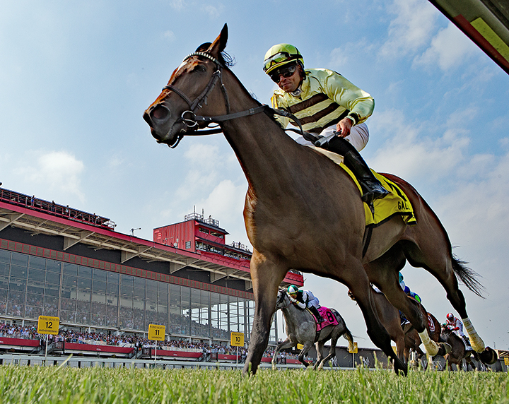 Mitchell Road wins the 2019 Gallorette Stakes at Pimlico