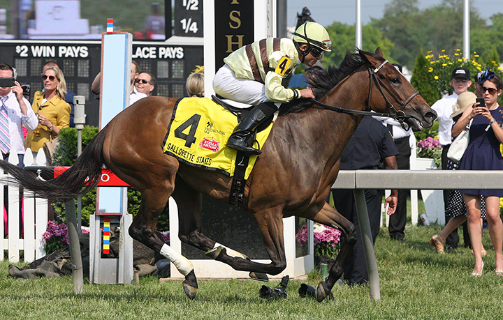 Mitchell Road wins the 2019 Gallorette Stakes