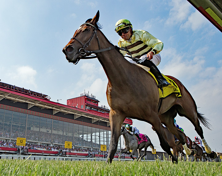 Mitchell Road wins the 2019 Gallorette Stakes at Pimlico