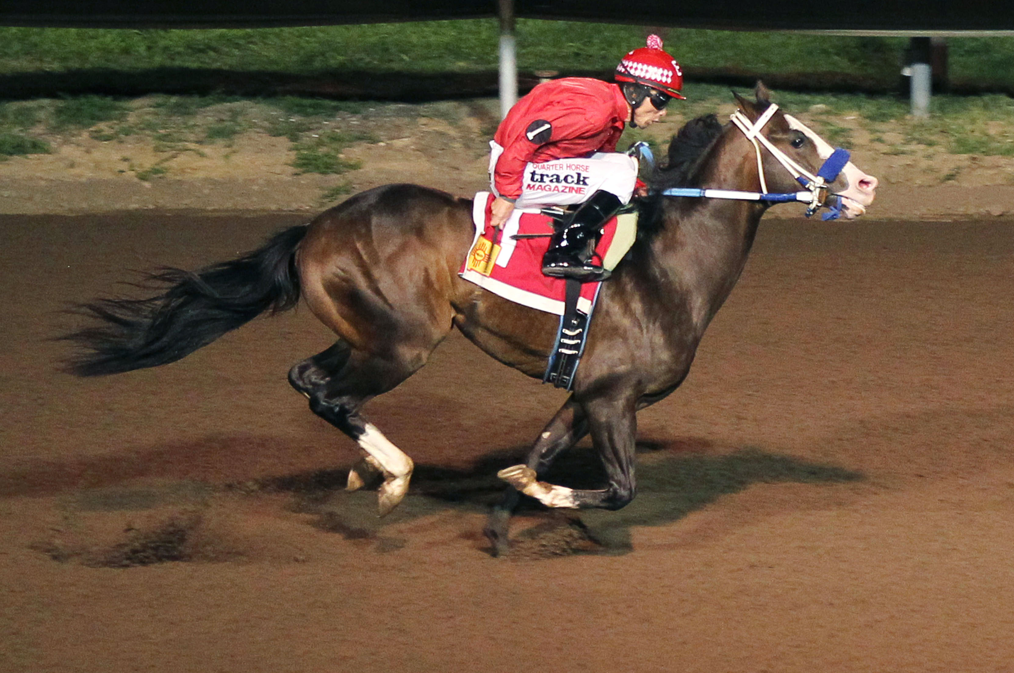 Mitey Man wins the New Mexico State Fair Quarter Horse Futurity Trial