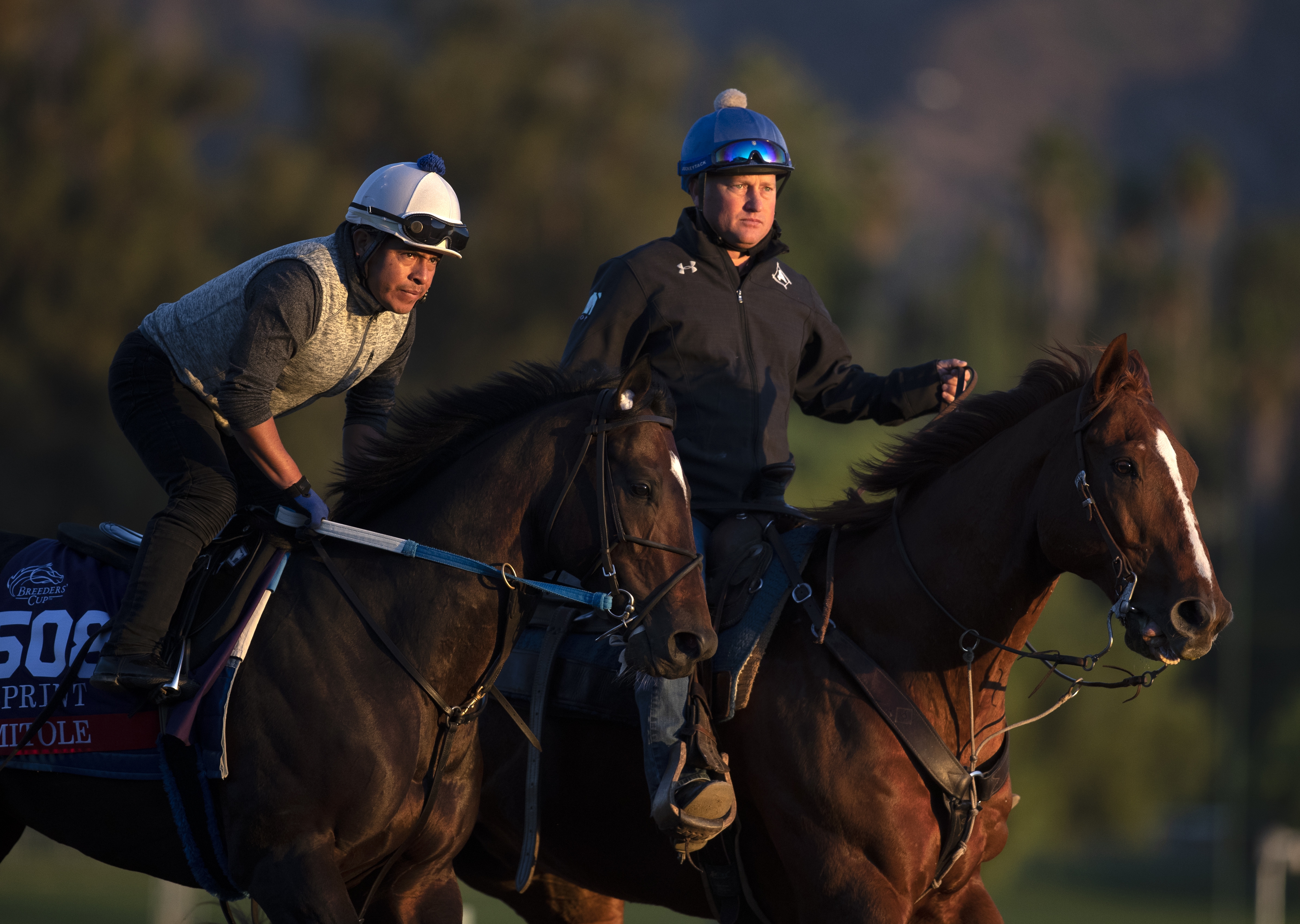 Mitole at Santa Anita on 10.25.19