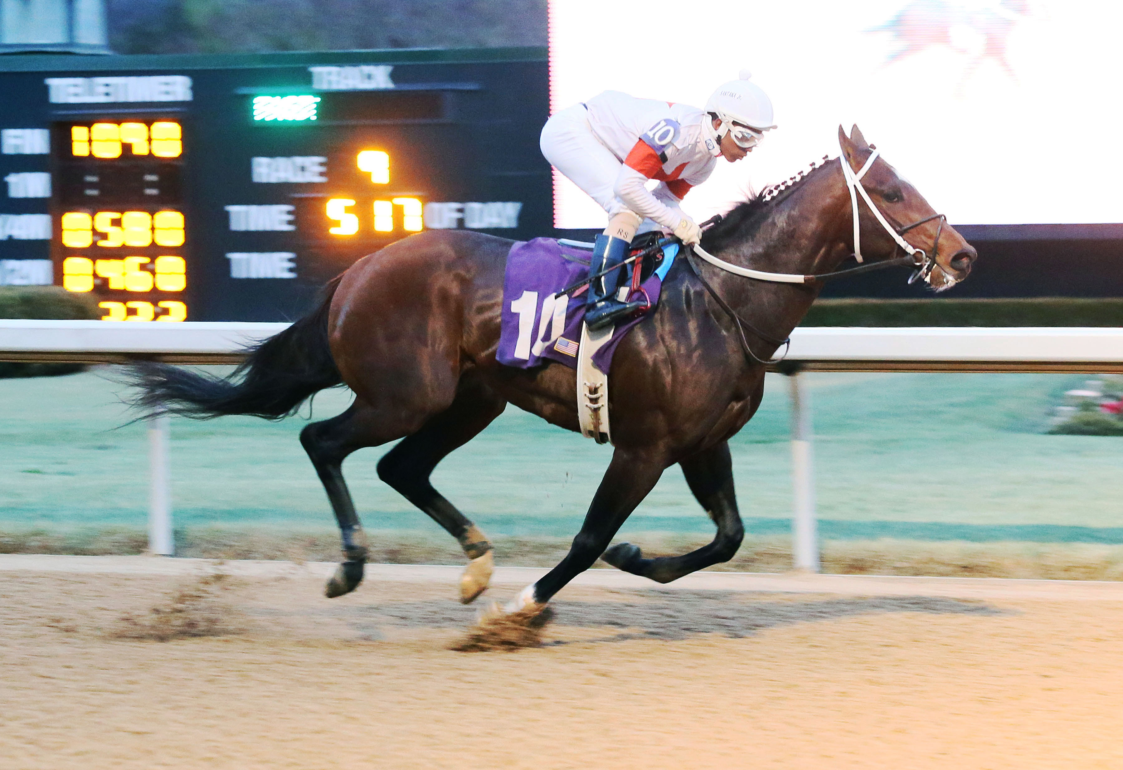Mitole wins a Feb. 3 maiden race