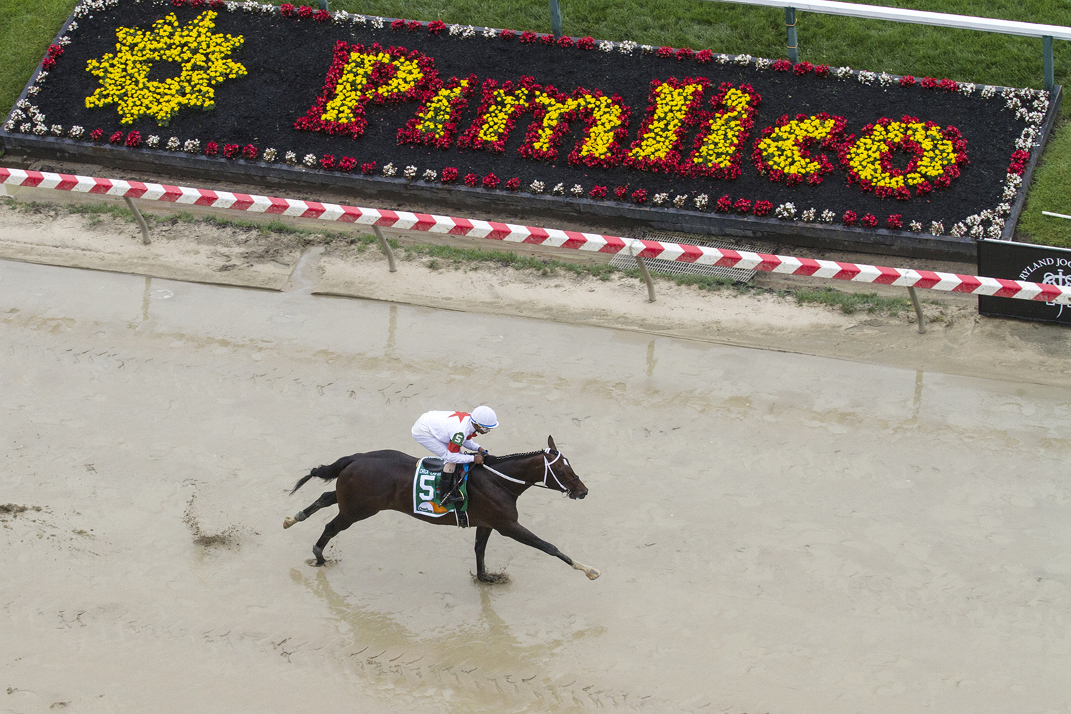 Mitole wins the 2018 Chick Lang Stakes