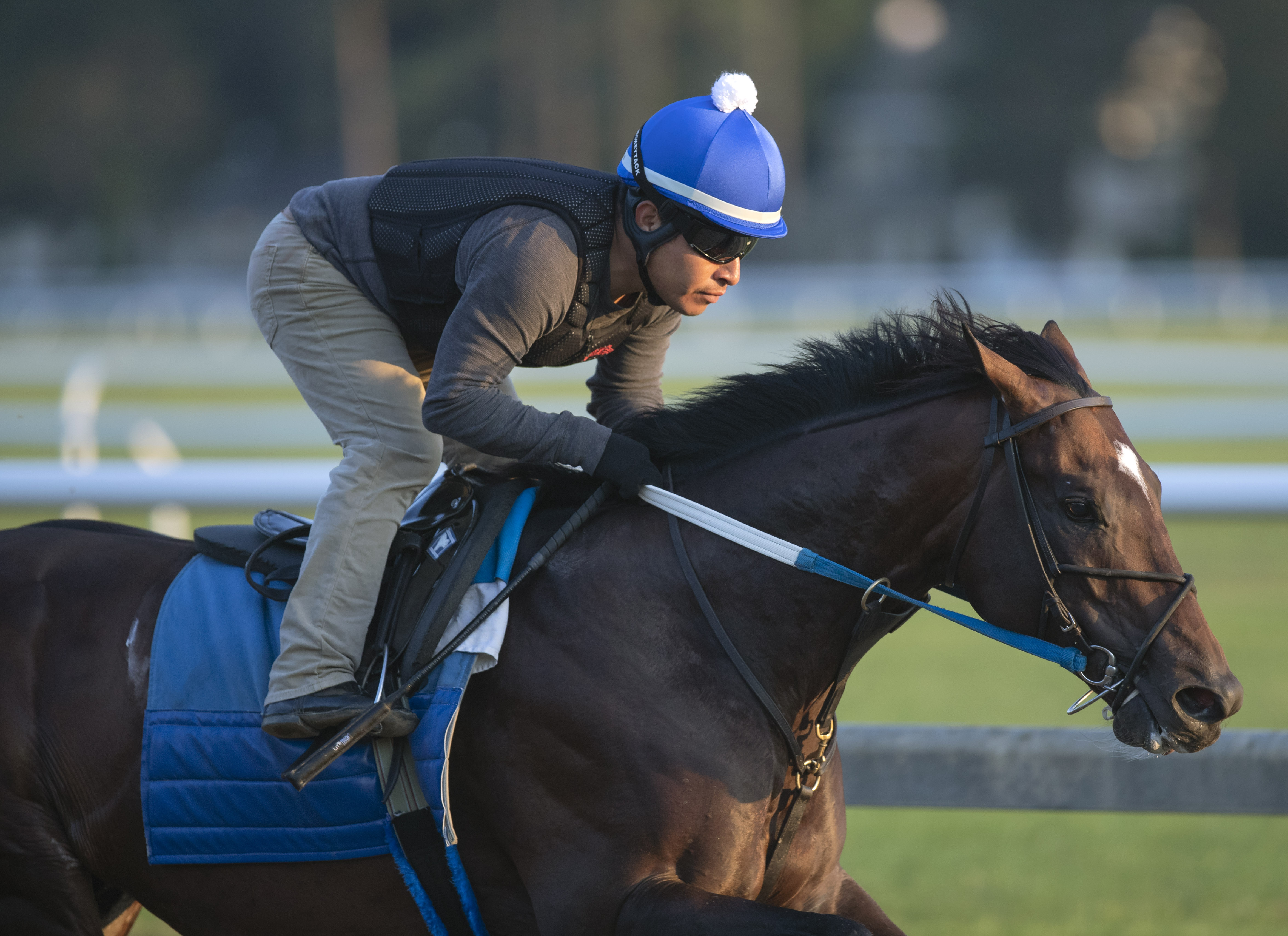 Mitole works at Saratoga Race Course on 7.14.19