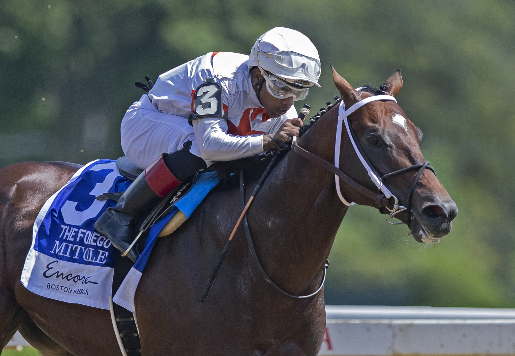 Mitole wins the 2019 Forego Stakes