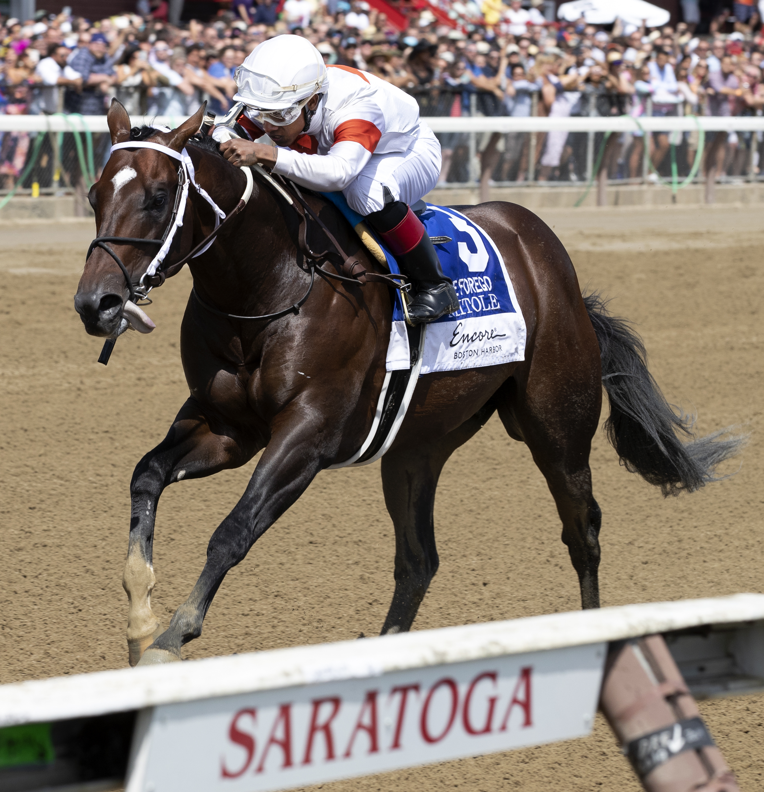 Mitole wins the 2019 Forego Stakes