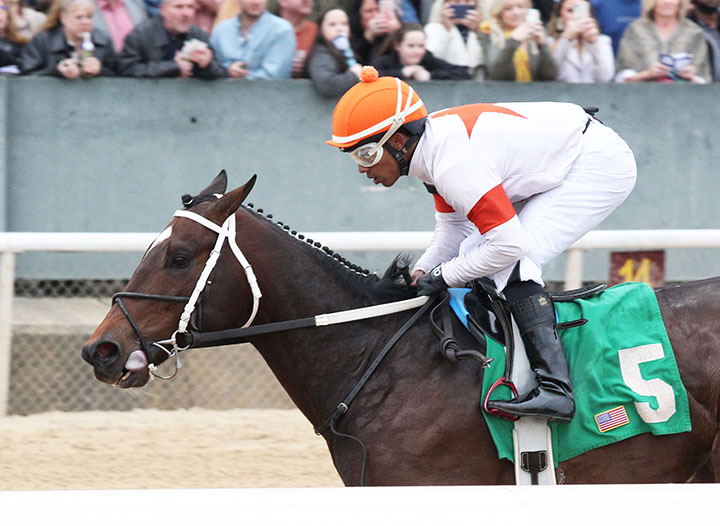 Mitole wins a March 2 allowance