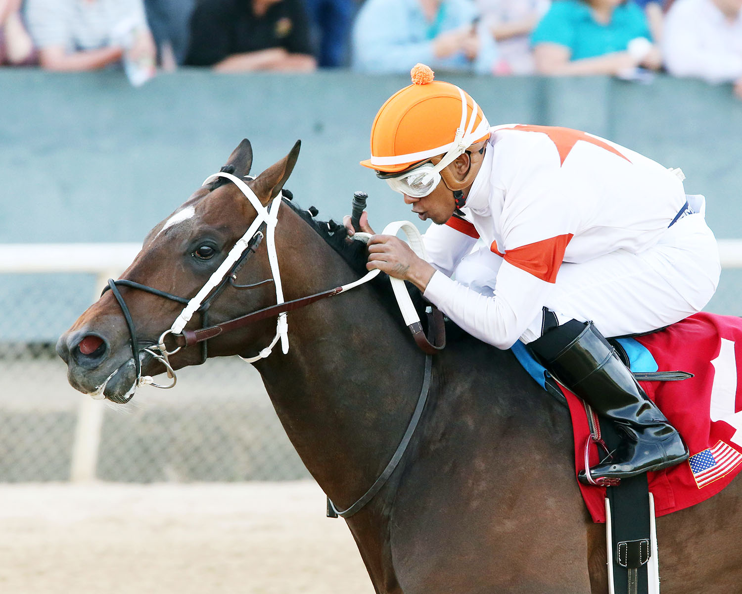 Mitole wins the Bachelor Stakes
