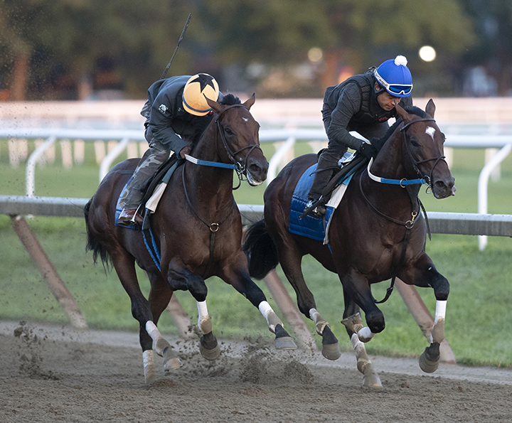Mitole (right) trains at Saratoga Race Course on Aug. 12